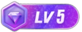 等级-LV5-瀚洪创业网