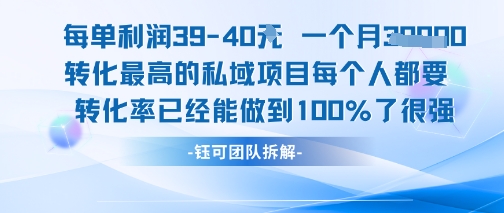 每单利润40一个月7k+转化最高的私域项目，每个人都要的产品转化率已经能做到100%-鸿洪资源网
