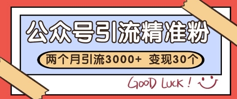 公众号精准粉引流玩法，2个月3000+精准粉，变现30个W【揭秘】-鸿洪资源网