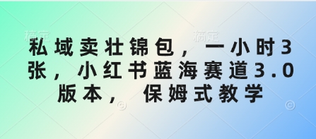 私域卖壮锦包，一小时3张，小红书蓝海赛道3.0版本， 保姆式教学-鸿洪资源网