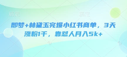 即梦+林黛玉完爆小红书商单，3天涨粉1千，靠怼人月入5k+-鸿洪资源网