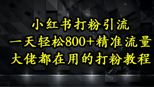 小红书打粉引流，一天轻松500+精准流量，大佬都在用的打粉教程-鸿洪资源网
