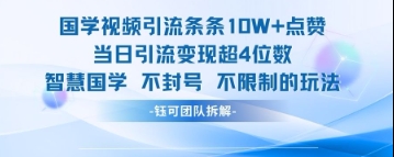 国学视频引流条条10W+点赞当日引流变现超4位数-鸿洪资源网