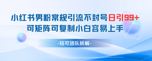 小红书男粉常规引流不封号日引99+变现简单 可矩阵可复制小白容易上手-鸿洪资源网