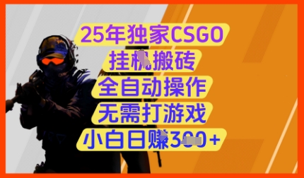 25年独家CSGO挂G搬砖，全自动操作，无需打游戏，小白日入3张+【揭秘】-鸿洪资源网