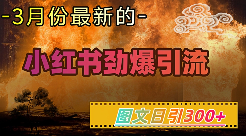 小红书超劲爆引流手段，图文日引300+轻松变现1W-鸿洪资源网