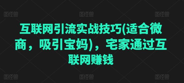 互联网引流实战技巧(适合微商，吸引宝妈)，宅家通过互联网赚钱-鸿洪资源网