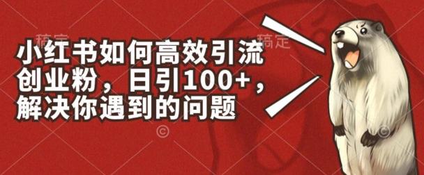 小红书如何高效引流创业粉，日引100+，解决你遇到的问题【揭秘】-鸿洪资源网