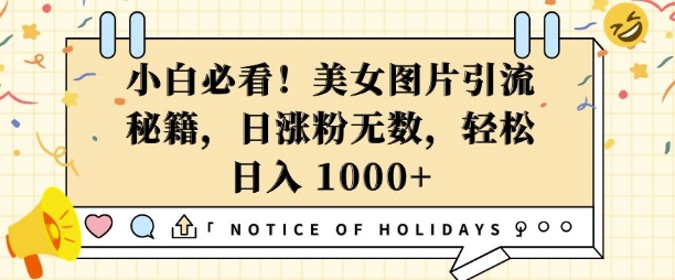 小白必看，美女图片引流秘籍，日涨粉无数，轻松日入几张【揭秘】-鸿洪资源网