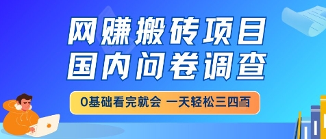 网创搬砖项目，国内问卷调查，小白轻松上手，一天三四张的也不难，干就完了【揭秘】-鸿洪资源网