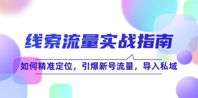 线 索 流 量-实战指南：如何精准定位，引爆新号流量，导入私域-鸿洪资源网