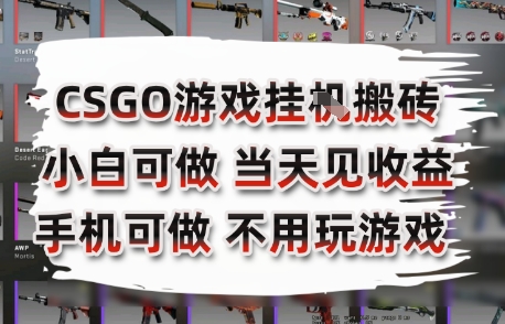 CSGO游戏挂G搬砖，小白纯手机即可操作，不用电脑打游戏，日入3张+，副业网创项目【揭秘】-鸿洪资源网