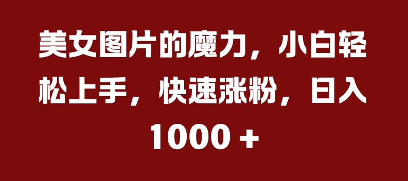 美女图片的魔力，小白轻松上手，快速涨粉，日入几张【揭秘】-鸿洪资源网