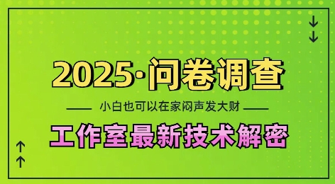 2025问卷调查最新工作室技术解密：一个人在家也可以闷声发大财，小白一天2张，可矩阵放大【揭秘】-鸿洪资源网