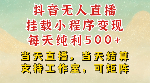 抖音无人直播挂载小程序变现每天纯利500+当天直播，当天结算支持工作室，可矩阵【揭秘】-鸿洪资源网