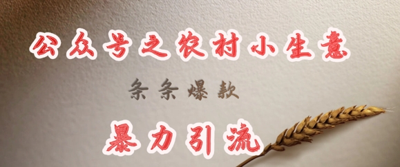 deepseek写农村小项目，条条爆款，暴力引流-鸿洪资源网