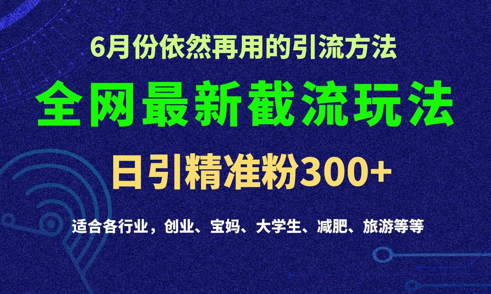 2024全网最新截留玩法，每日引流突破300+-鸿洪资源网