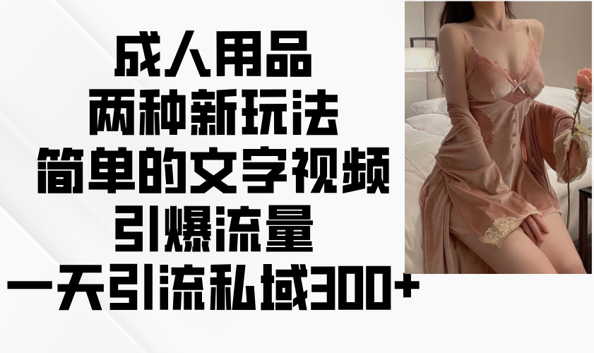 成人用品两种新玩法，简单的文字视频引爆流量，一天引流私域300+-鸿洪资源网