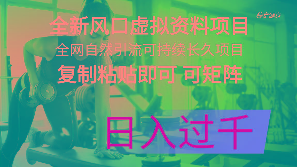 全新风口虚拟资料项目 全网自然引流可持续长久项目 复制粘贴即可可矩阵…-鸿洪资源网