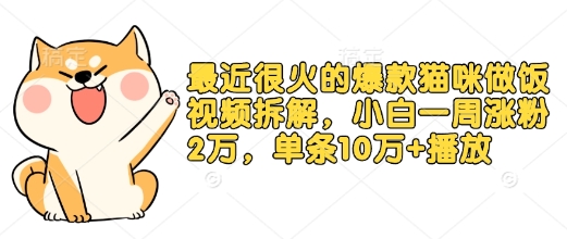 最近很火的爆款猫咪做饭视频拆解，小白一周涨粉2万，单条10万+播放(附保姆级教程)-鸿洪资源网
