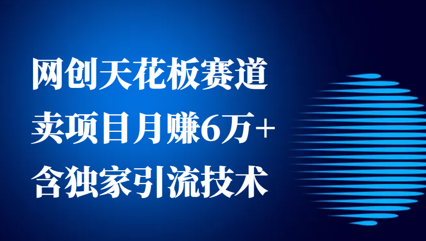 网创天花板赛道，卖项目月赚6万+，含独家引流技术(共26节课)-鸿洪资源网
