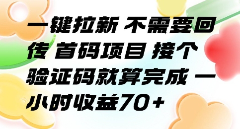 一键拉新 不需要回传 首码项目 接个验证码就算完成 一小时收益70+【揭秘】-鸿洪资源网