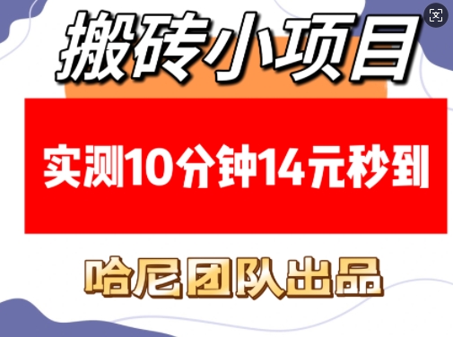 搬砖小项目，实测10分钟14元秒到，每天稳定几张(赠送必看稳定)-鸿洪资源网