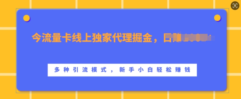流量卡线上独家代理掘金，日入1k+ ，多种引流模式，新手小白轻松上手【揭秘】-鸿洪资源网