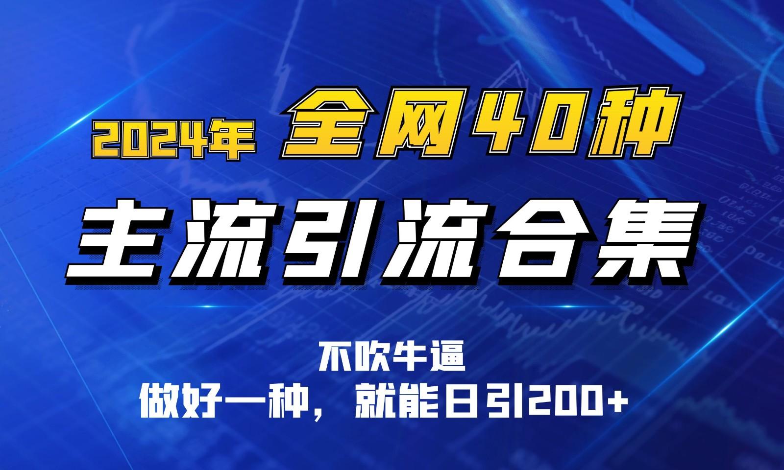 2024年全网40种暴力引流合计，做好一样就能日引100+-鸿洪资源网