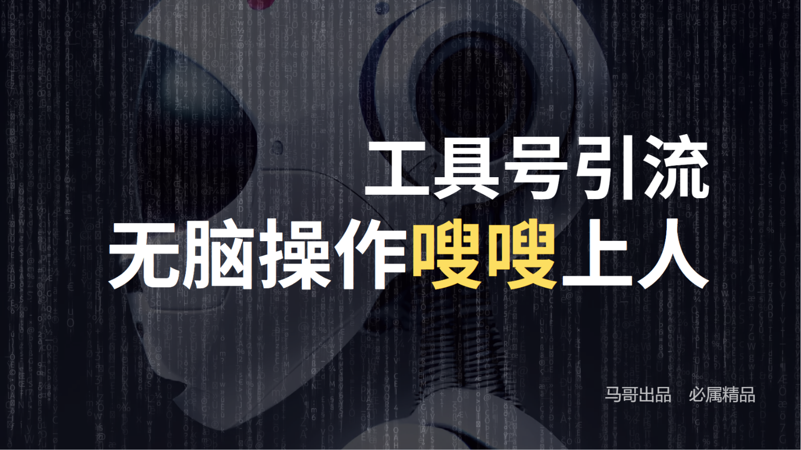 工具号高效引流法，嗖嗖上人，日引1000+，直接搬运，无脑操作-鸿洪资源网