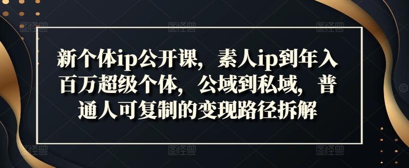 新个体ip公开课，素人ip到年入百万超级个体，公域到私域，普通人可复制的变现路径拆解-鸿洪资源网