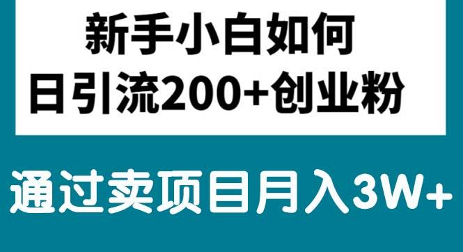 新手小白日引流200+创业粉,通过卖项目月入3W+-鸿洪资源网
