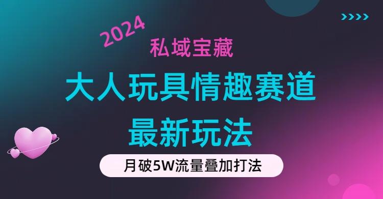 私域宝藏：大人玩具情趣赛道合规新玩法，零投入，私域超高流量成单率高-鸿洪资源网