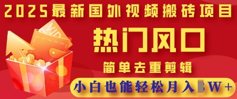 2025最新视频搬砖项目，热门风口，简单去重剪辑，小白也能轻松月入过W-鸿洪资源网