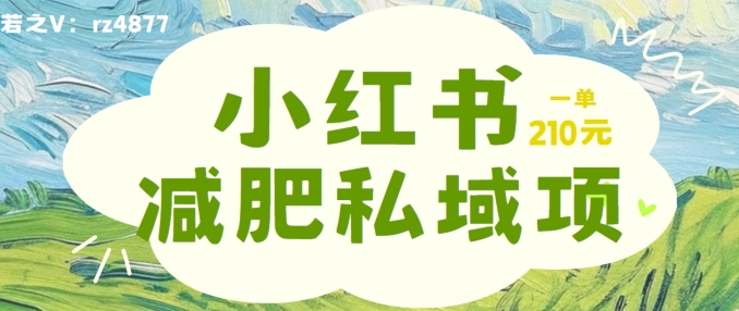 小红书减肥粉，私域变现项目，一单就达210元，小白也能轻松上手【揭秘】-鸿洪资源网
