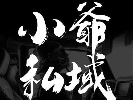 小爷·私域项目操盘手-鸿洪资源网