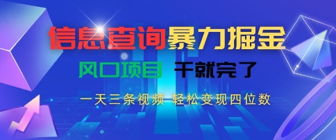 信息查询暴力掘金，一天三条视频，轻松变现四位数，风口项目干就完了【揭秘】-鸿洪资源网