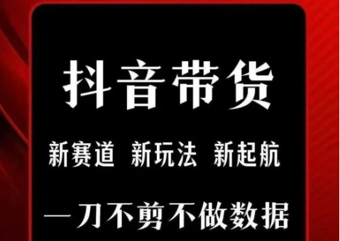 抖音短视频一刀不剪带货，不剪辑，不直播，每天发个视频，等着出单获取带货佣金-鸿洪资源网