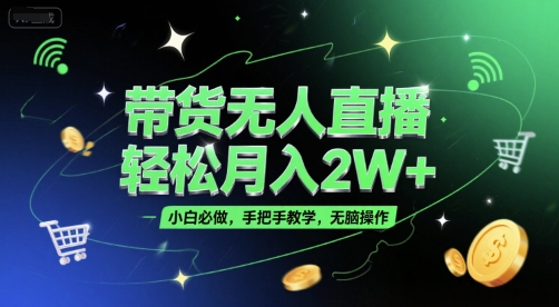 带货无人直播，轻松月入2W+，小白必做，手把手教学，无脑操作(附学习资料)-鸿洪资源网