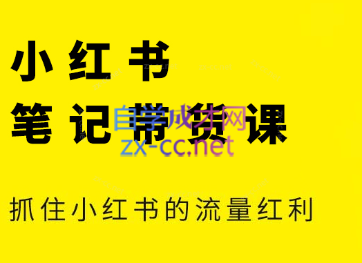 张宾·小红书笔记带货课(更新5月)-鸿洪资源网