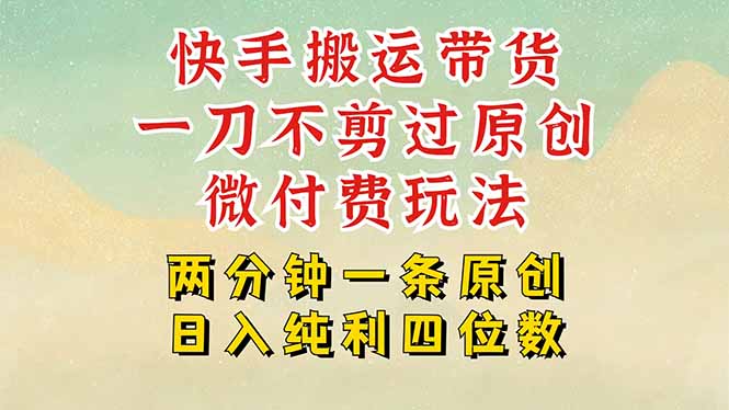 快手黑科技搬运带货，一刀不剪过原创，微付费投流玩法，轻松日入四位数…-鸿洪资源网