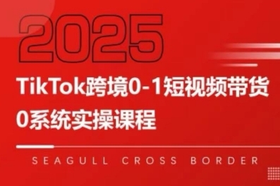 TikTok跨境0-1短视频带货，系统拆解TikTok跨境带货全链路，实现跨境可持续盈利-鸿洪资源网