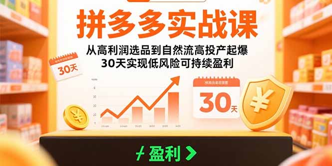 拼多多实战课：从高利润选品到自然流高投产起爆 30天实现低风险可持续盈利-鸿洪资源网