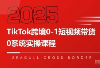 大亿老师·TikTok跨境0-1短视频带货-鸿洪资源网