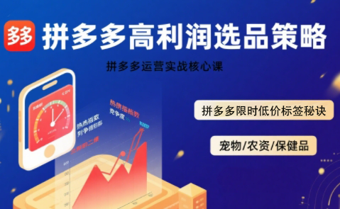 久号老师·拼多多选品暴利技术实战课-鸿洪资源网