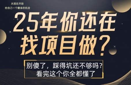 25年，你还在疯狂的找项目吗？别傻了，看完这个你都懂了【揭秘】-鸿洪资源网