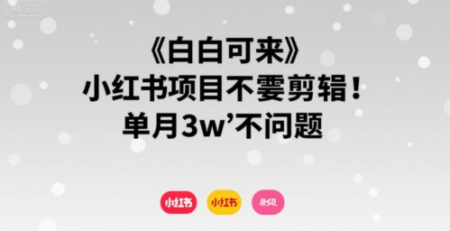 小白可来 小红书项目不需要剪辑 单月3w不是问题-鸿洪资源网
