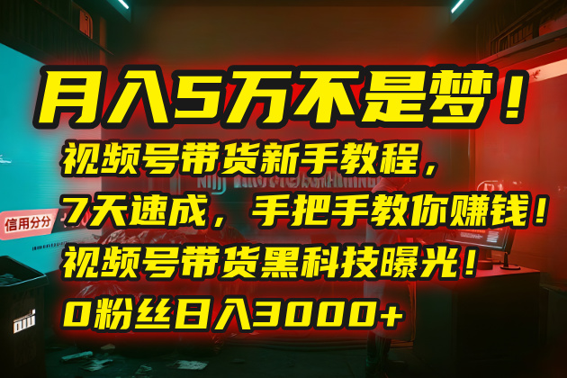 月入5万不是梦！视频号带货新手教程，7天速成，手把手教你赚钱！视频号…-鸿洪资源网