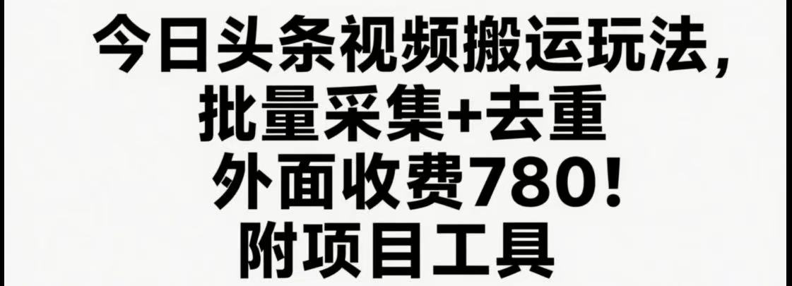 今日头条视频搬运玩法，软件一键去重，轻松日入500+附项目工具-鸿洪资源网