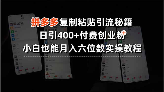 拼多多复制粘贴引流秘籍，日引400+付费创业粉，小白也能月入六位数实操…-鸿洪资源网